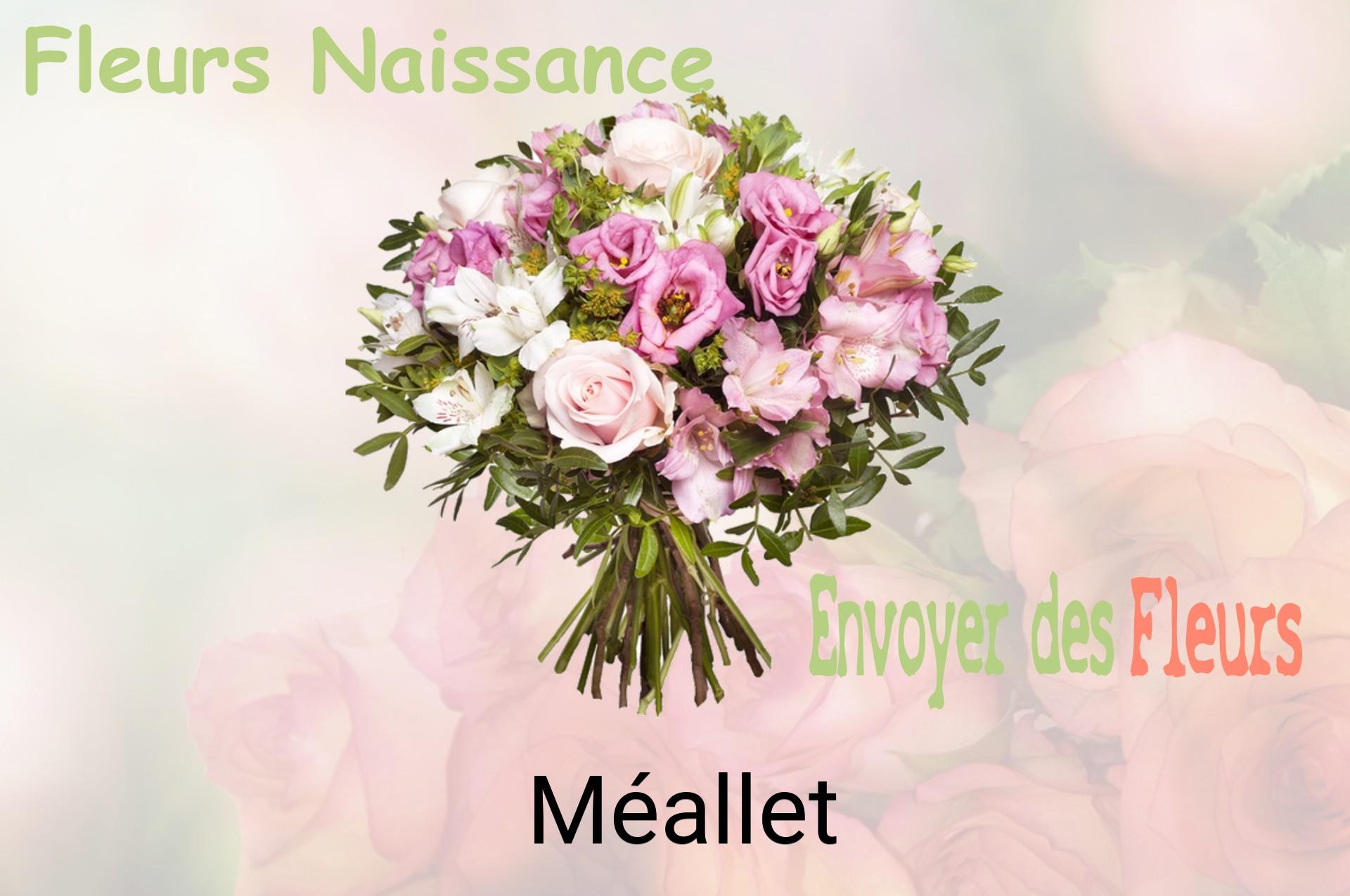 Bouquet de fleurs de naissance livré à Méallet